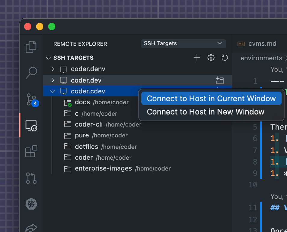 VS Code Remote Explorer