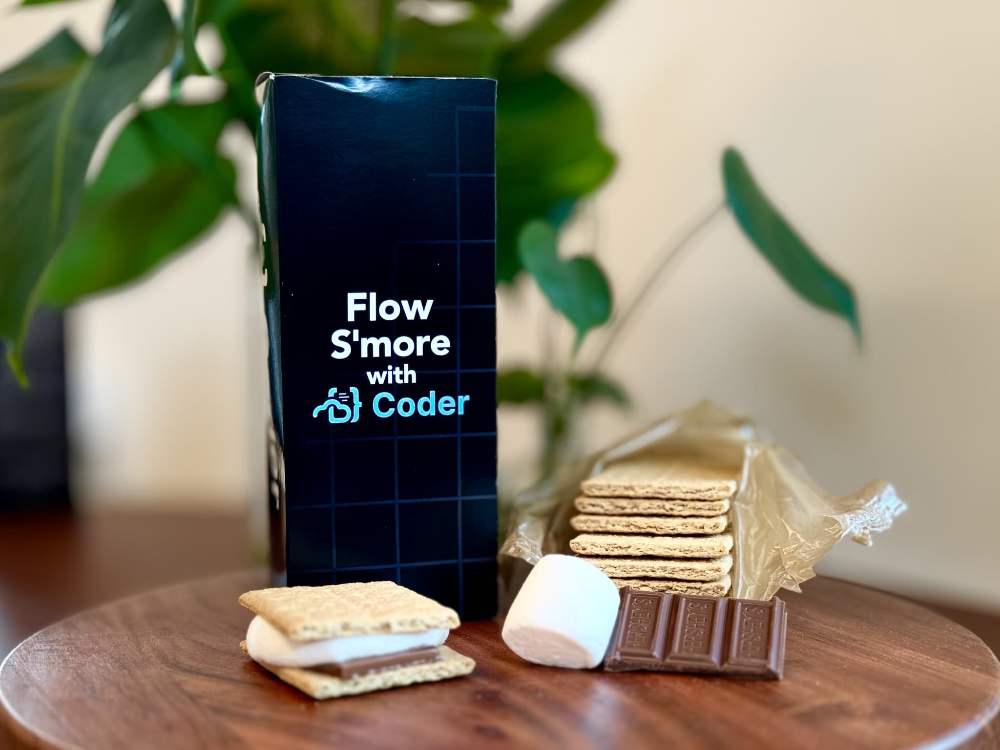 A marshmallow, a chocolate bar, and graham crackers sitting on a wooden platter. Next to them, a black box reads 'Flow S'more with Coder'.