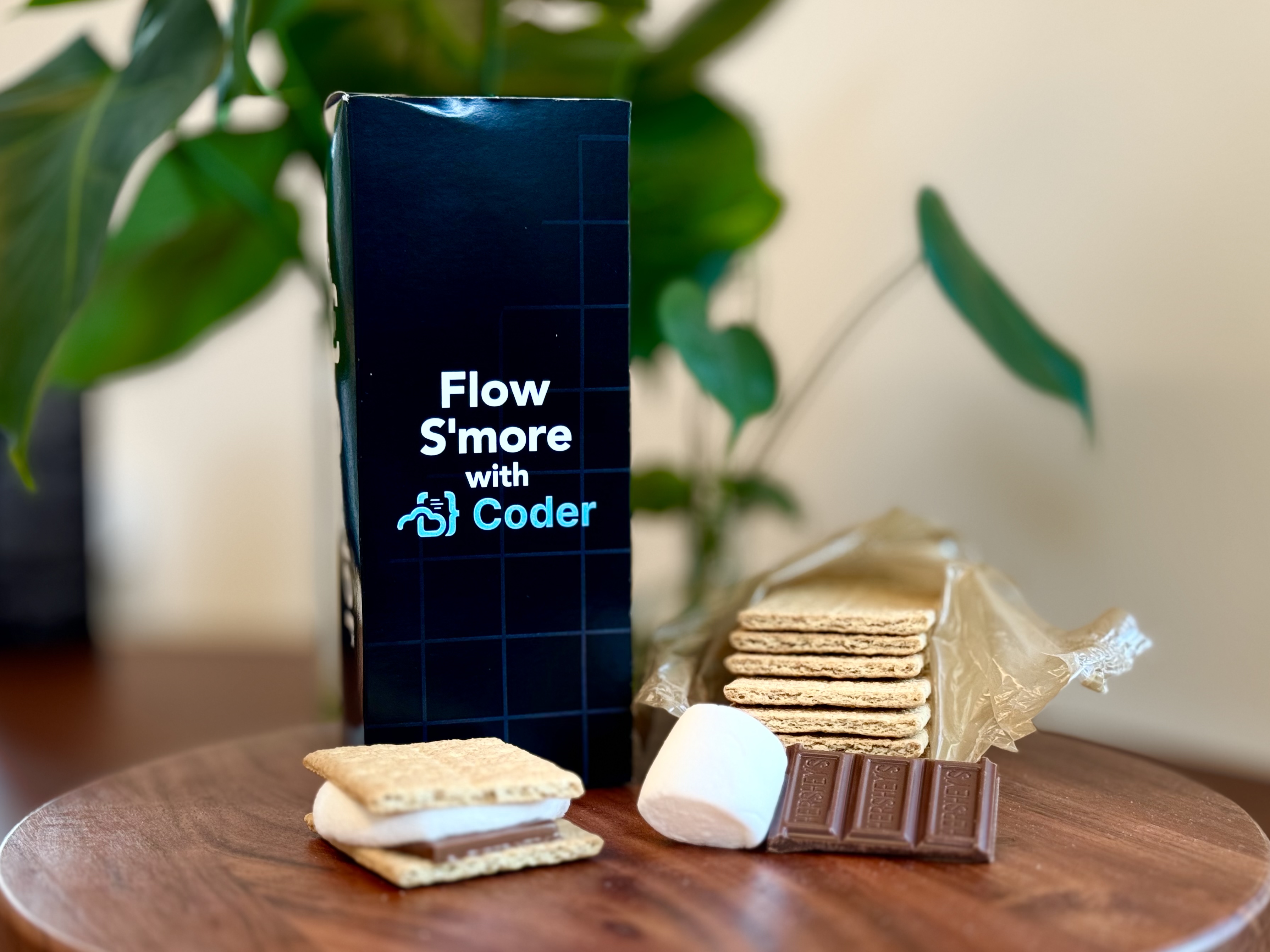 A marshmallow, a chocolate bar, and graham crackers sitting on a wooden platter. Next to them, a black box reads 'Flow S'more with Coder'.