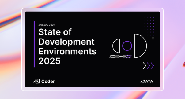 State of Development Environments 2025