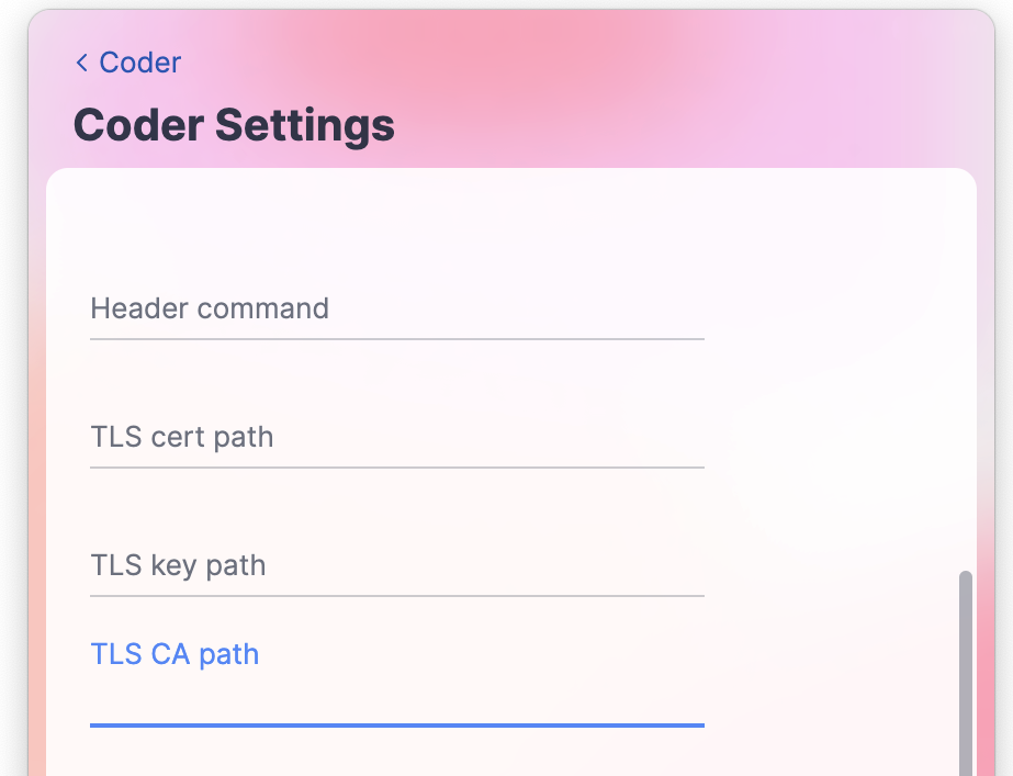 JetBrains Toolbox Coder Provider certificate path